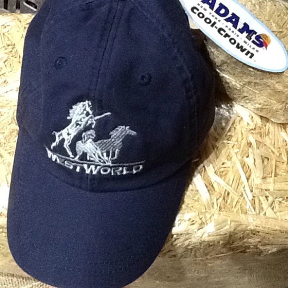 NWT Keep Cool Cap Westworld AZ  Adams Cool-Crown Cap